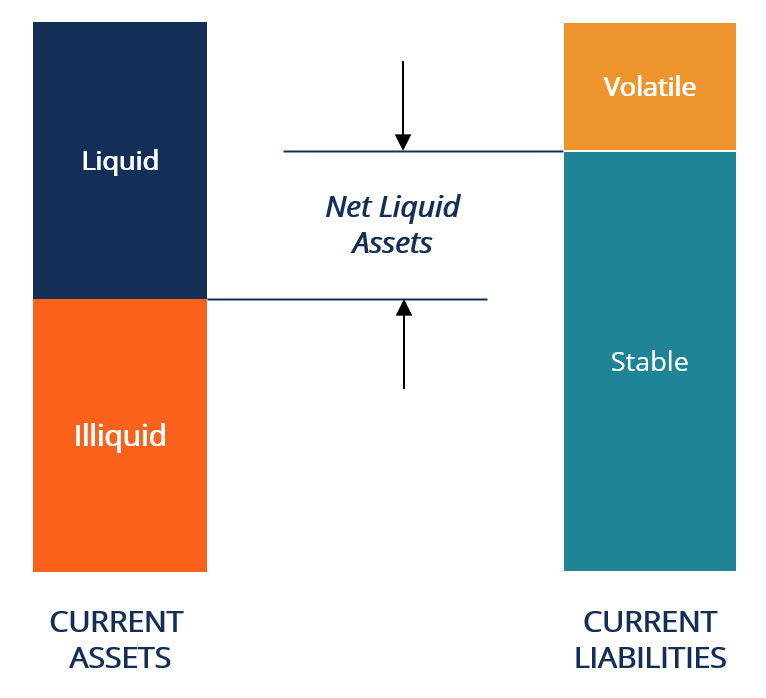 Net Liquid Assets Overview Importance Calculation