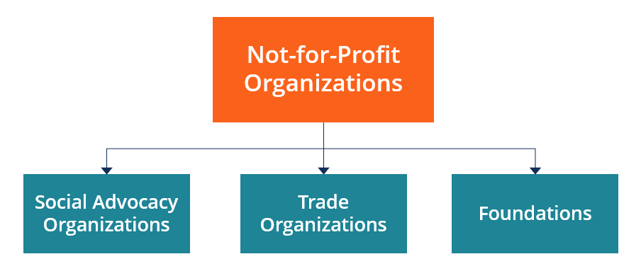 What Is a Not-for-Profit Organization?