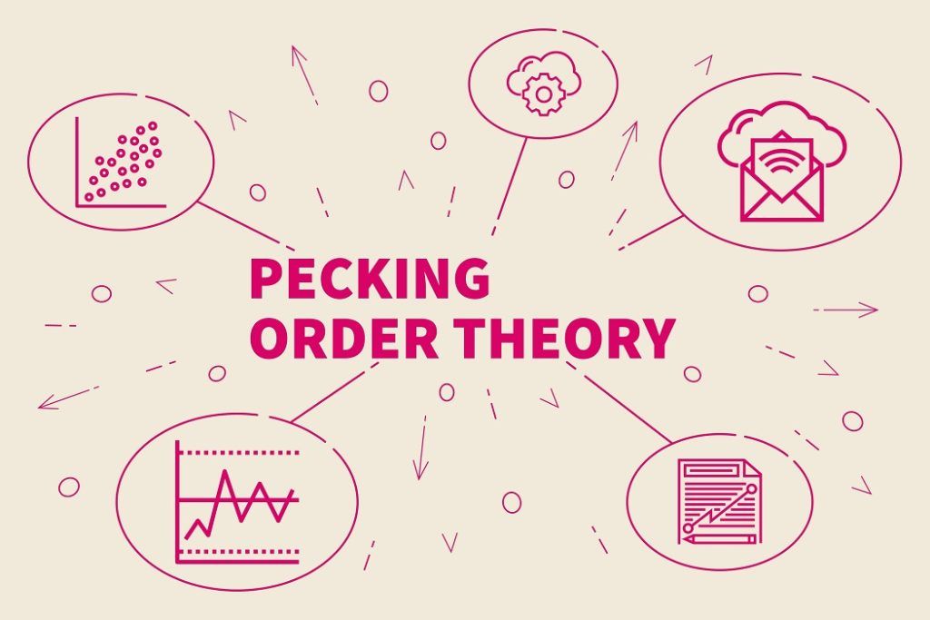 Pecking Order Theory