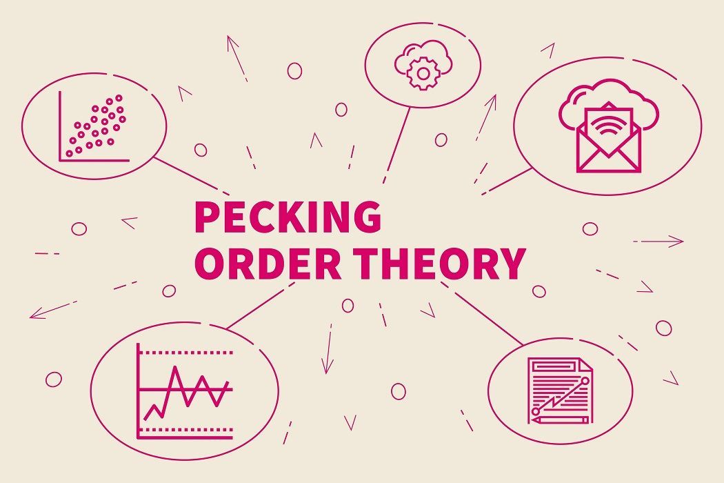 pecking order theory thesis