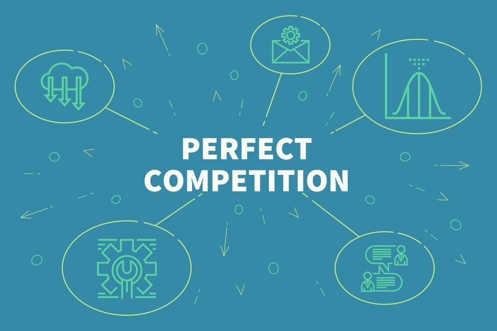 perfect competition requirements