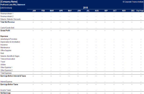 Profit and Loss Statement (P&L)