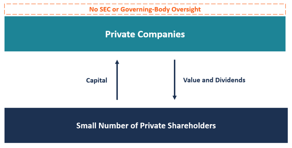 Private Company Overview Types Why Stay Privately Held