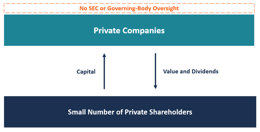 What Does Private Company Mean In Business