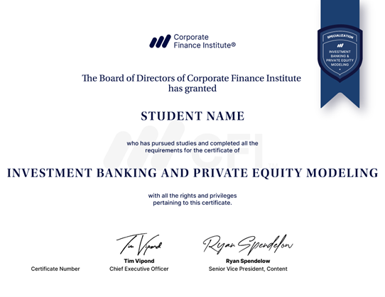 Private Equity Career Profile - Investment Banking and Private Equity Modeling Specialization