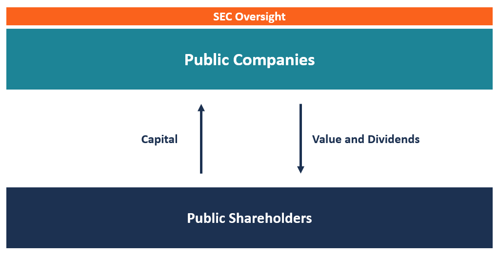 Public Companies Overview Advantages And Disadvantages