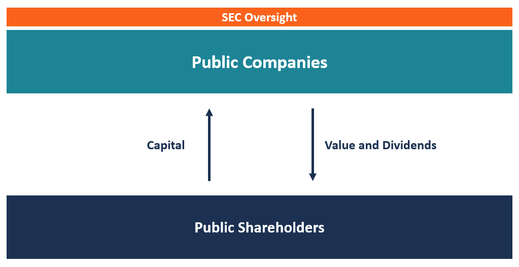 Топик: Going public and the dividend policy of the company