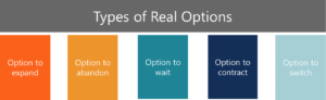 Real options stock valuation