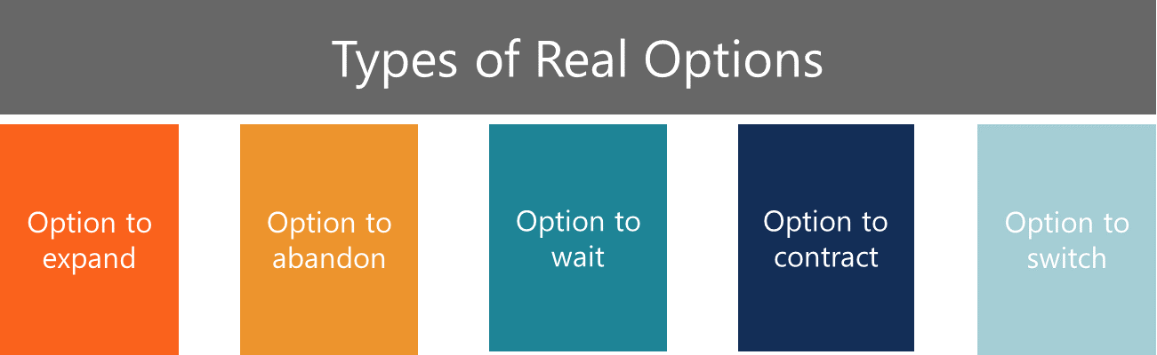 real-options-learn-the-different-types-pricing-of-real-options