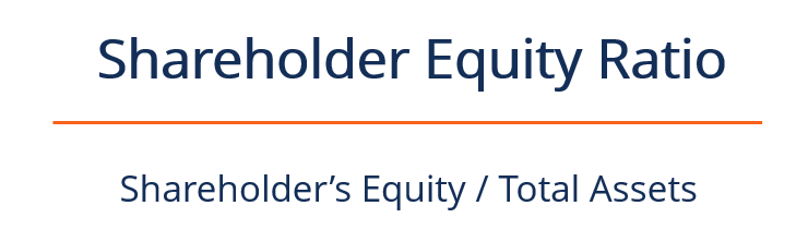 Shareholder Equity Ratio