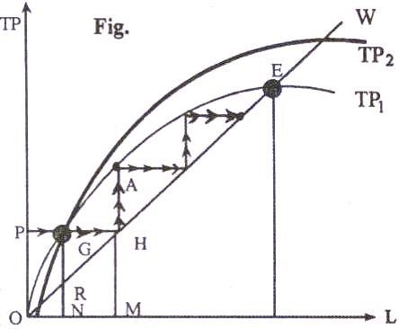 Théories de la croissance - Théorie classique de la croissance (modèle structurel)