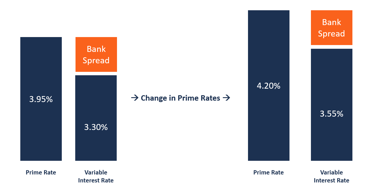 Loan rates store