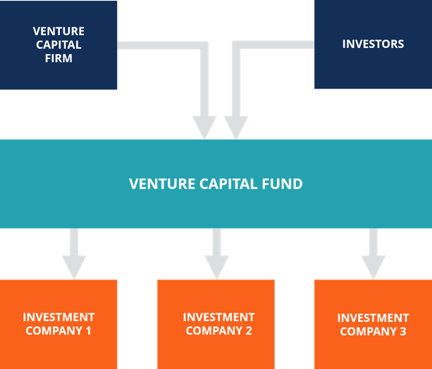 venture capital)