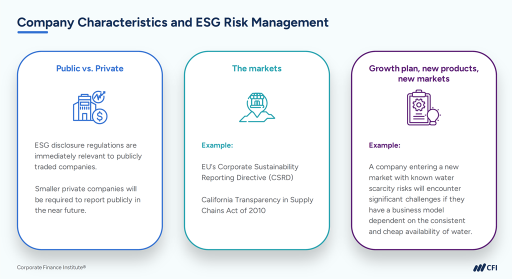 Company Characteristics and ESG Risk Management